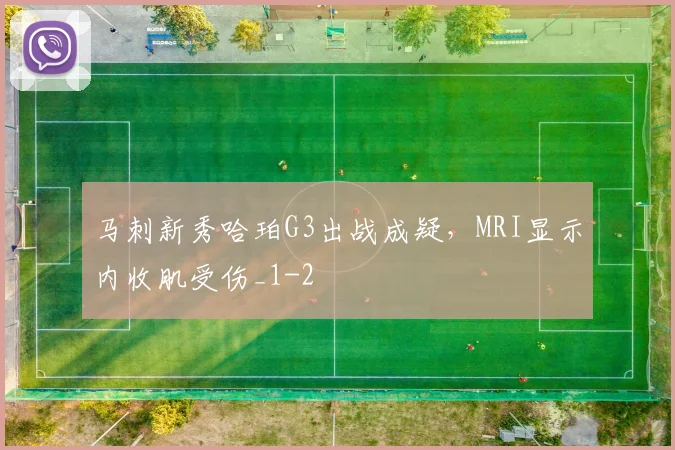 马刺新秀哈珀G3出战成疑，MRI显示内收肌受伤_1