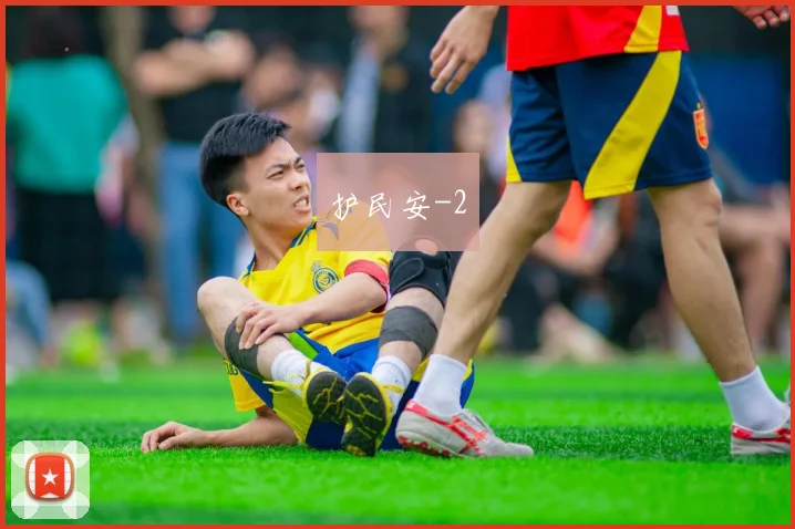 护民安