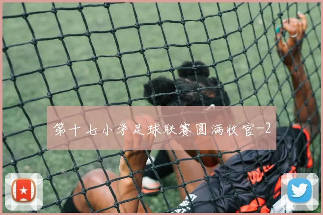 第十七小学足球联赛圆满收官