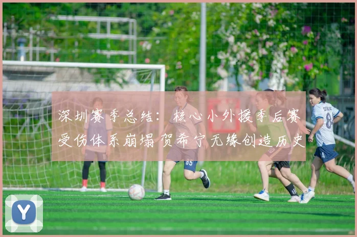 深圳赛季总结:核心小外援季后赛受伤体系崩塌 贺希宁无缘创造历史